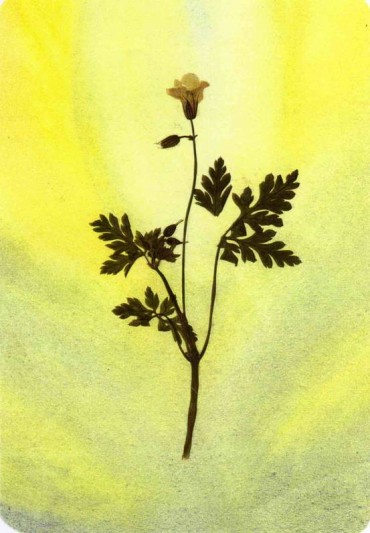 Letter from a client